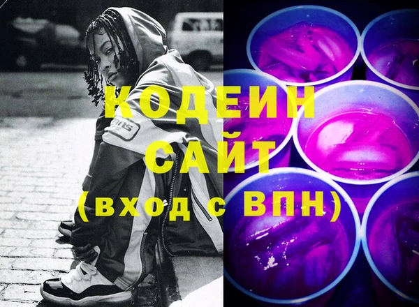 индика Арсеньев