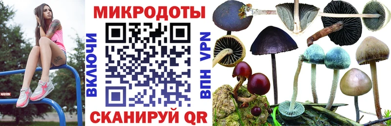 Псилоцибиновые грибы Psilocybe  Рославль 