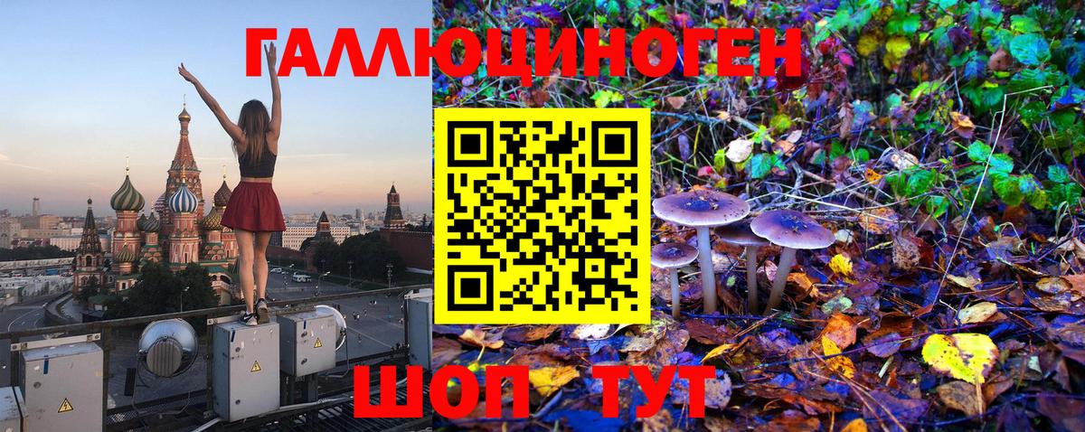Галлюциногенные грибы GOLDEN TEACHER  Псилоцибиновые грибы Magic Shrooms  Рославль  Вход с VPN 