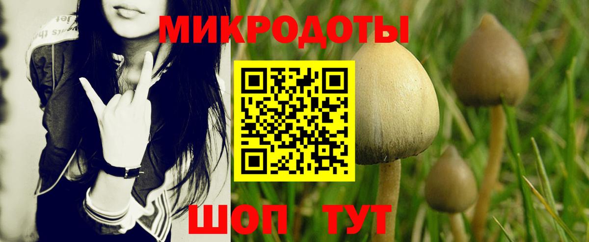 Галлюциногенные грибы MAGIC MUSHROOMS Рославль